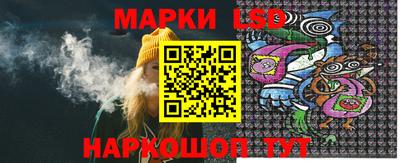 стафф Берёзовский