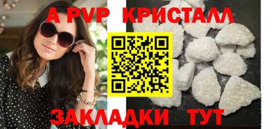 стафф Берёзовский