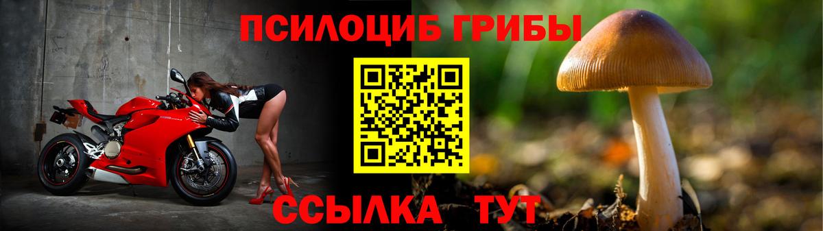 Галлюциногенные грибы мицелий Зеленогорск